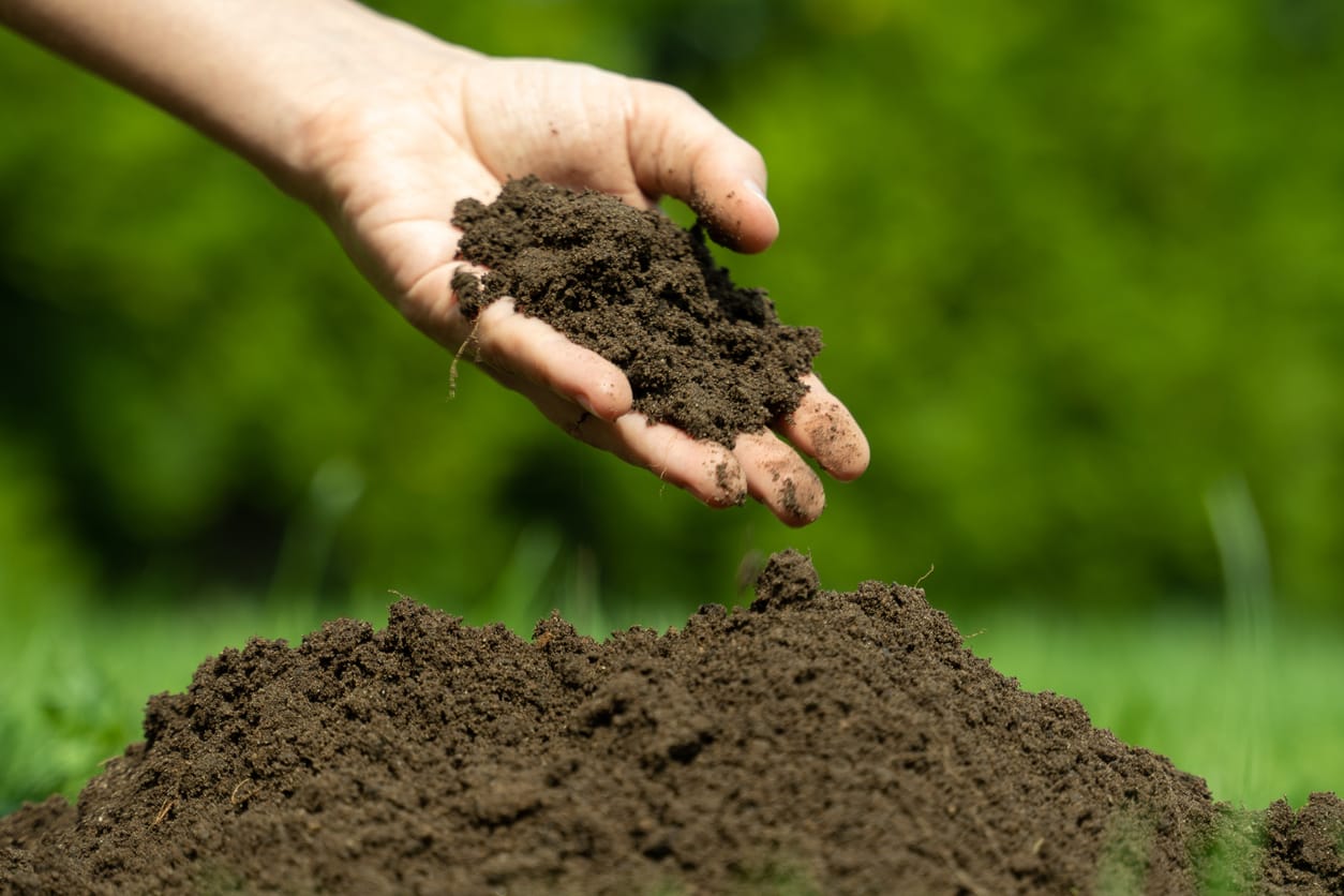 Soil Sequencing Opportunity for High School Students!