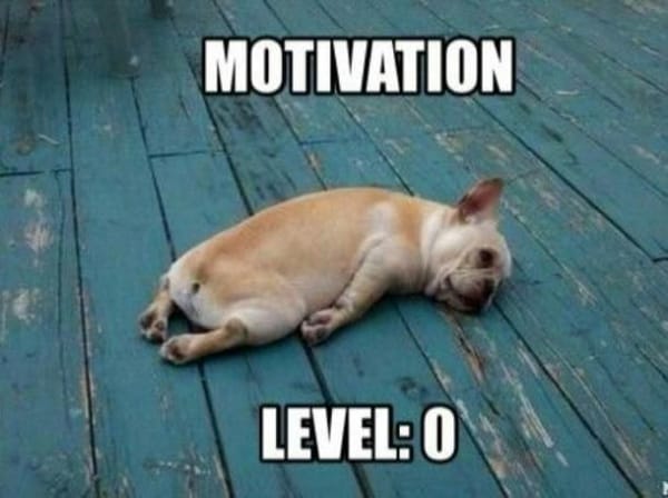 What is Motivation??
